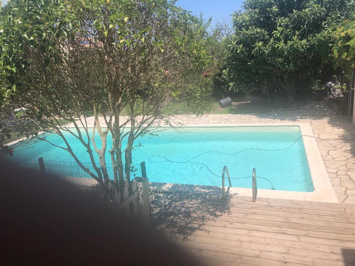 Agreable Chambre Du Rucher Natur'Aile Montagnac  Εξωτερικό φωτογραφία
